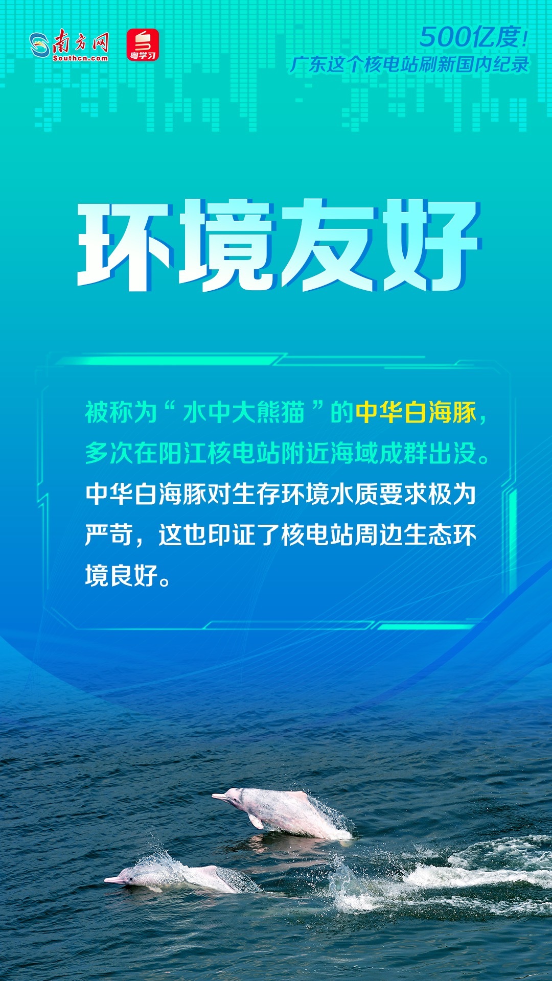 2025年新奥天天精准资料大全|精选资料解析大全