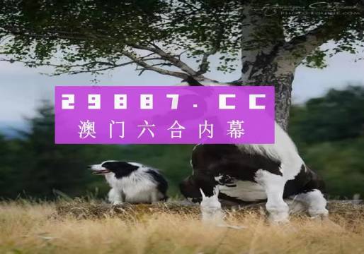 澳门最精准四不像正版,澳门最精准四不像正版——探索真实与虚幻的边界