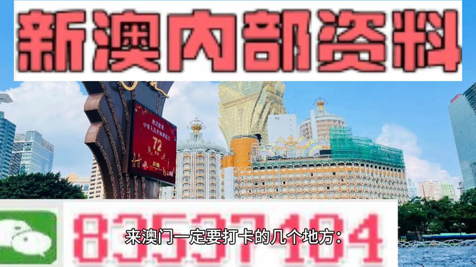 2025年王中王澳门免费大全,探索未来，2025年王中王澳门免费大全展望